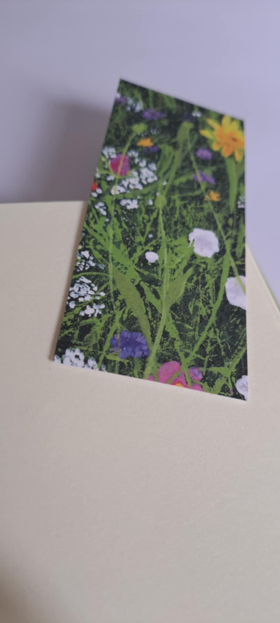 A5 Journal/Notebook (blank) - lime green cloth bound with eye-catching wildflower design front cover